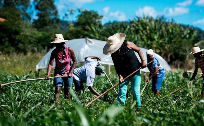 Creación Del Instituto Nacional De La Agricultura Familiar Campesina E IndÍgena Red 3999